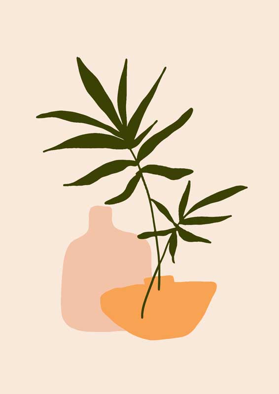 二品一级—一毛